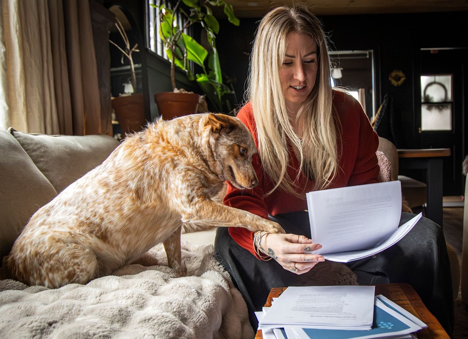 A woman in her late 30s with long blond hair smiles as she looks over some papers in a living room setting. A dog sits on a couch and reaches out a paw to touch her hand.