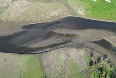As Fish Go Blind, Experts Say BC Isn’t Prepared for Droughts