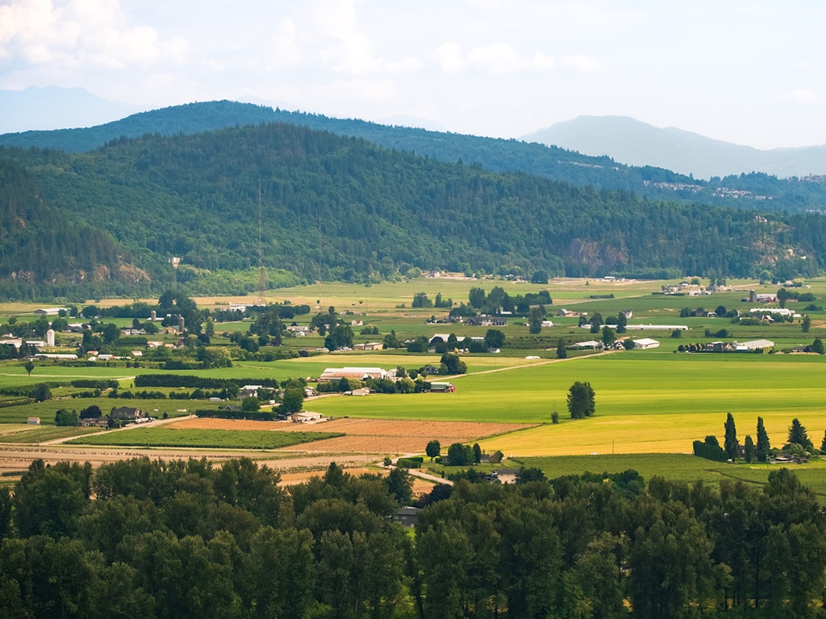Farmland in the Fraser Valley, with mountains in the background.