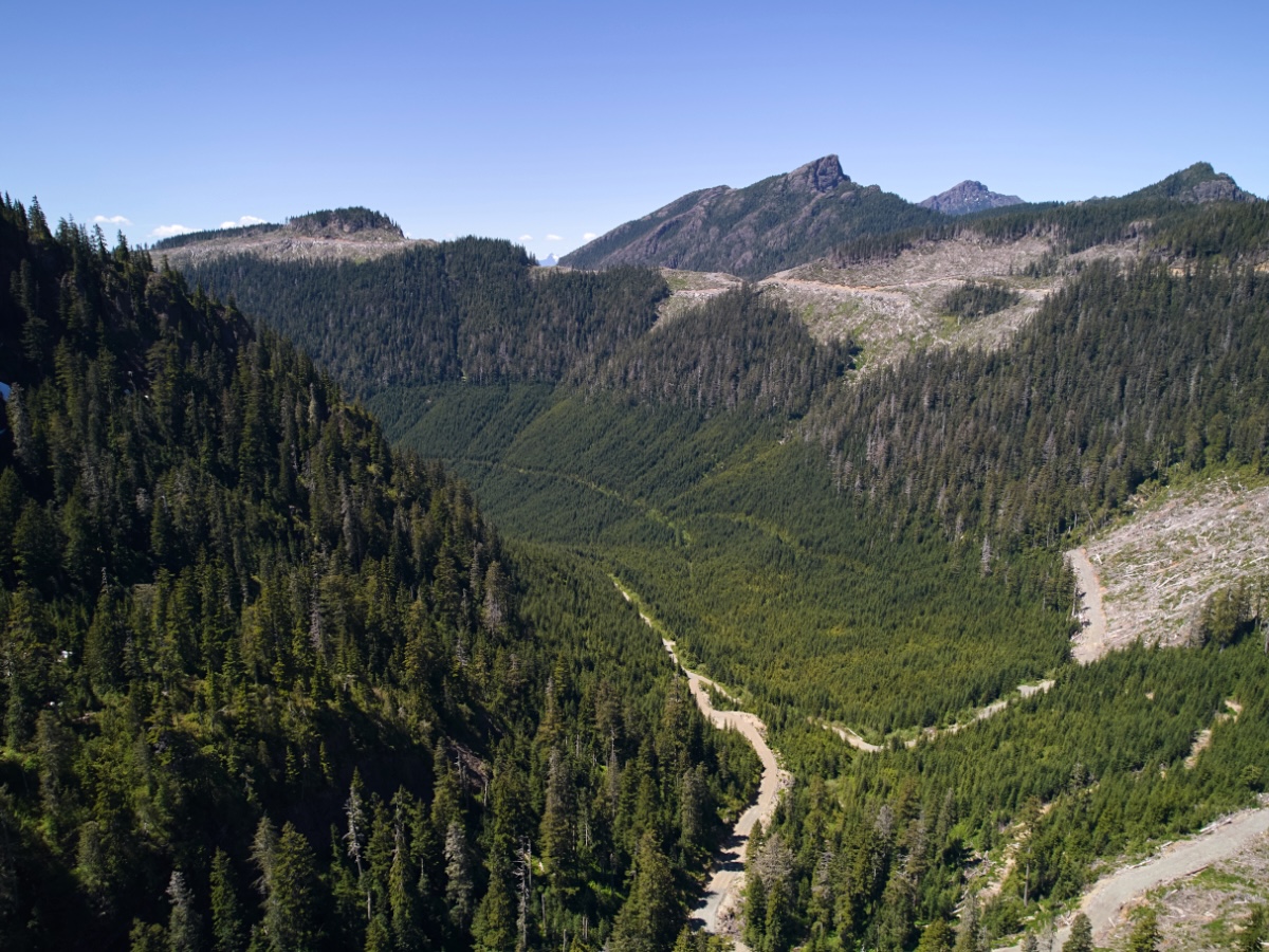 Long roads can be seen winding through a mountainous valley, some of which has been logged.