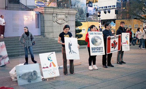 Olympics, seal hunt