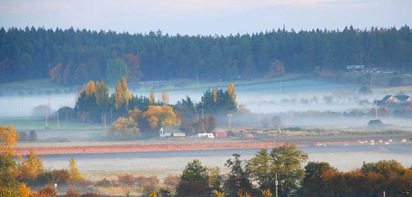 AgriculturalMist_600px.jpg