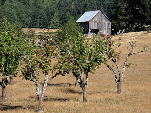 Ruckle Park farm