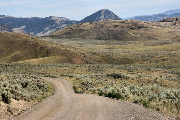 SageBrush_610px.jpg
