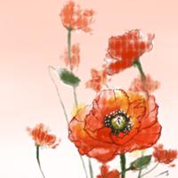 image atom