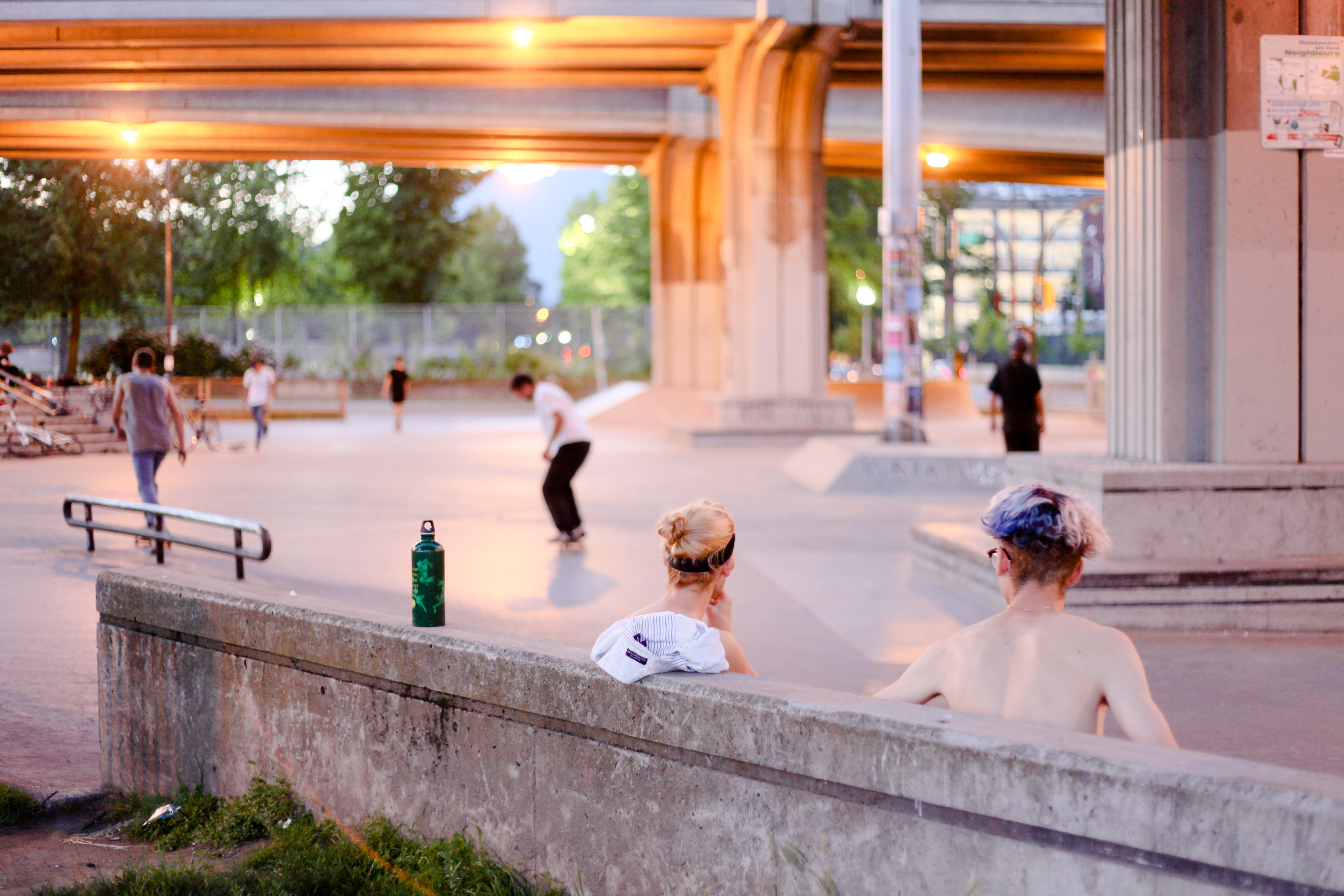 Cheung-Van-Skaters.jpg