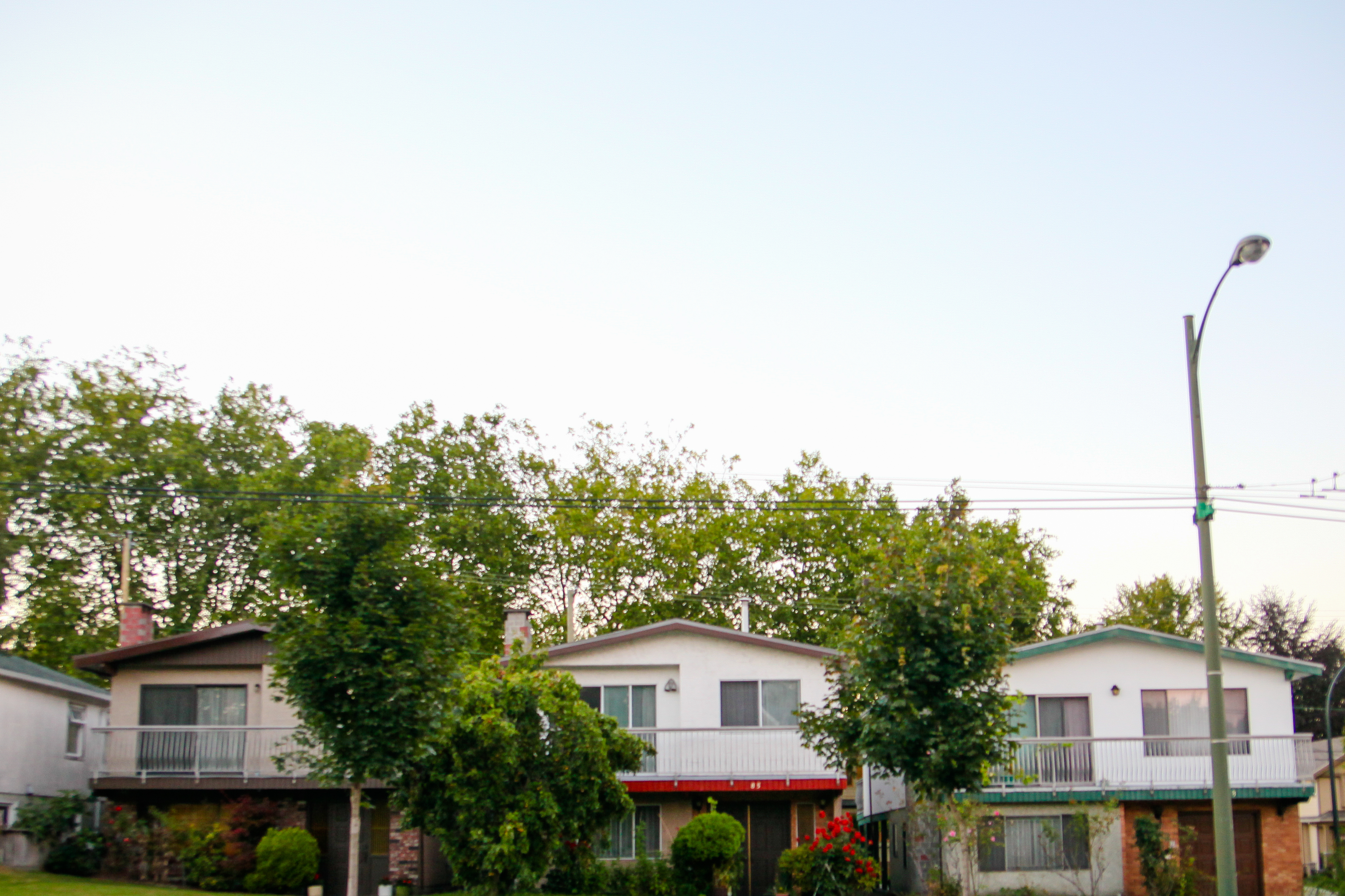 851px version of Cheung-Van-Van-Specials.jpg