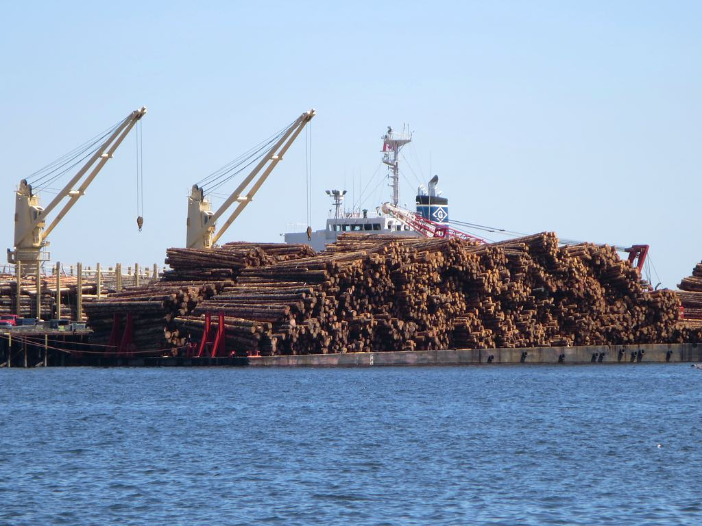 A barge is heavily loaded with thousands of logs, with cranes and a dock in the background.