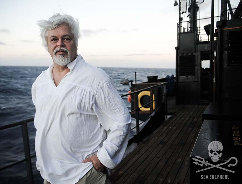 Paul-Watson.jpg