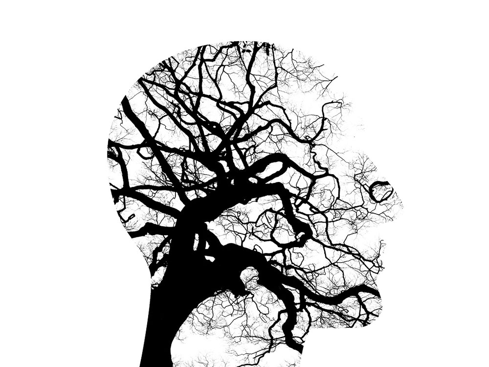 Face-Trees.jpg