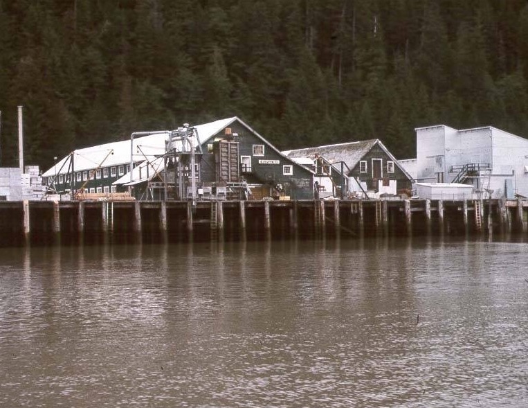 2-Cassiar_IMG_1331.JPG