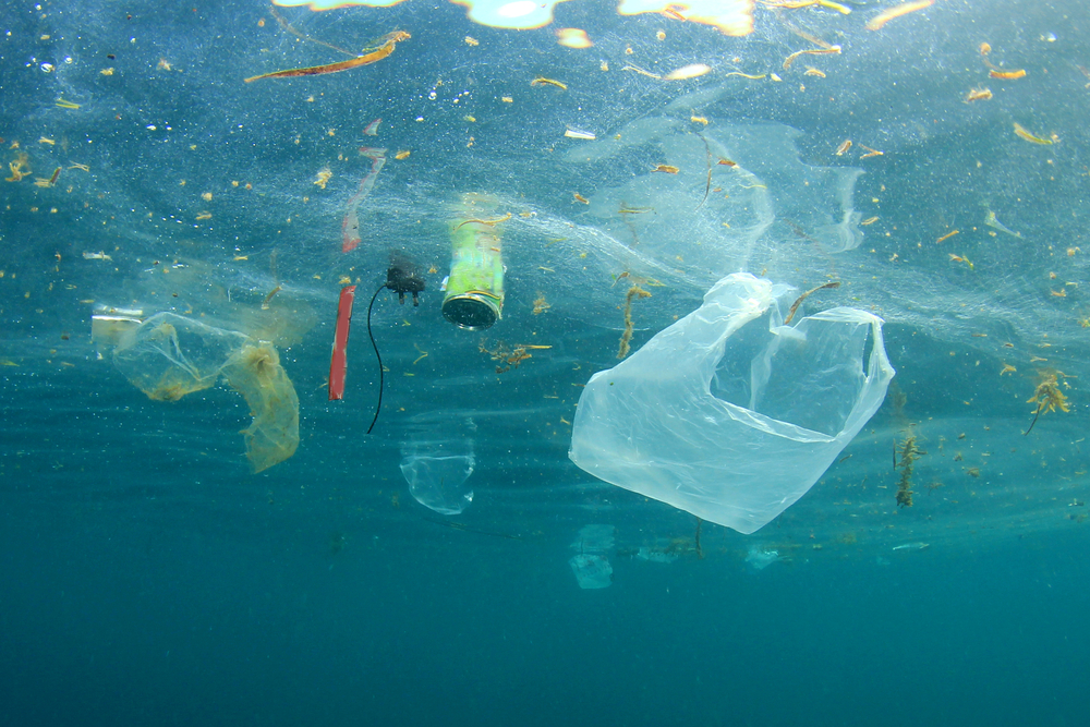 COVER.Plastic-Ocean.jpg