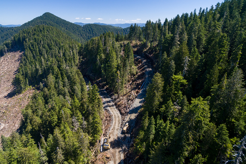 FairyCreekTealJonesRoadBuilding.jpeg