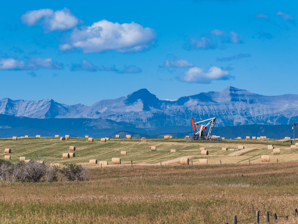A pumpjack in a hay field. In the background, Alberta&rsquo;s foothills. 