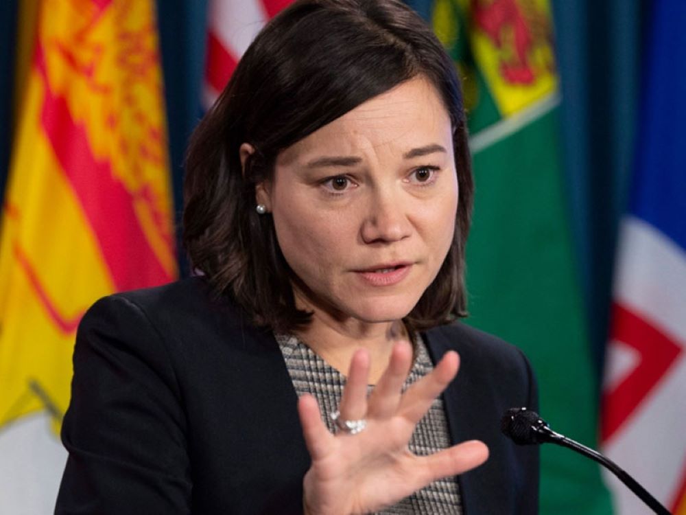 A dark-haired, lighter-skinned woman in a blazer and checkered blouse speaks at a podium in front of a row of flags and banners.