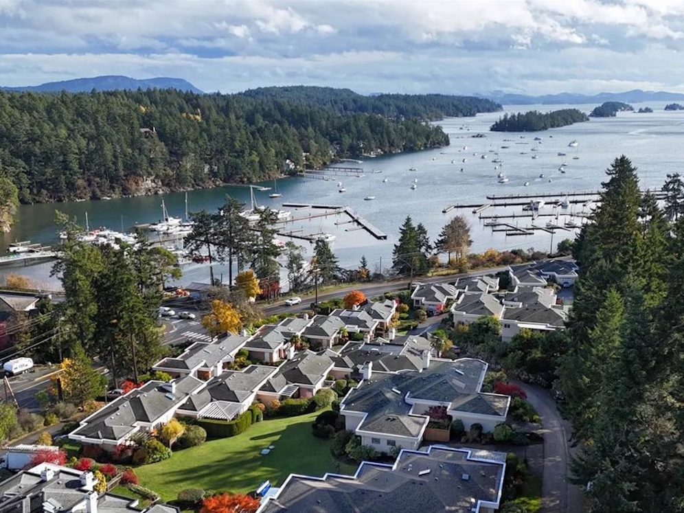 Aerial image of a subdivision surrounded by trees and water. Boat slips, several small craft and small islands can be seen in the water.