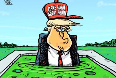Mad King Trump’s Birthday Party