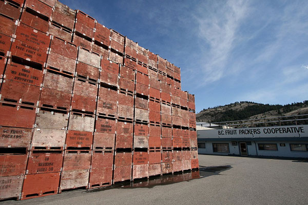 BC Fruit Packers Cooperative shut down