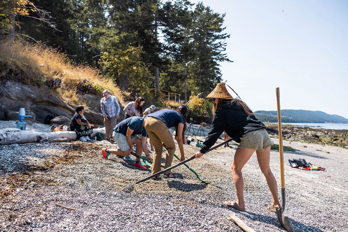 A group of people rake sand and stones on a beach.
