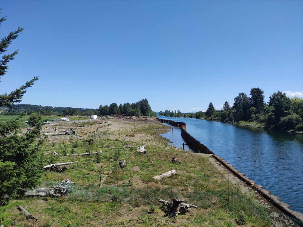 A river spans a long restoration site, separated by a steel piling wall.