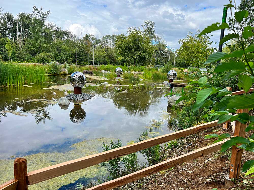 A wooden fence overlooks a natural pond, surrounded by tall grass and trees. Silver orbs, part of a public art installation, sit in the water.