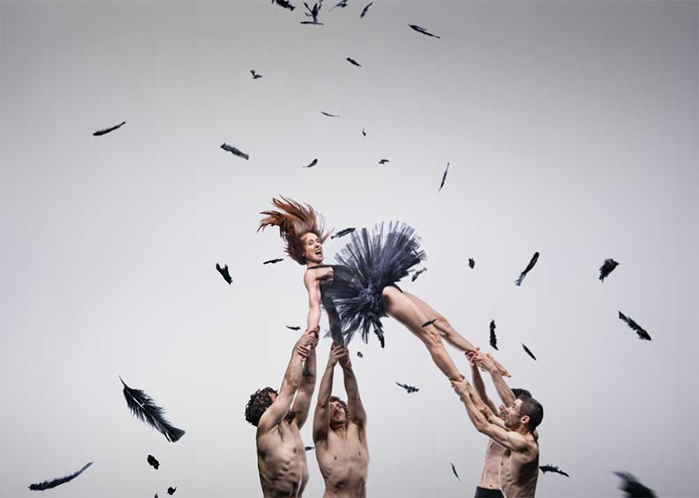 A dancer in a dark grey tutu is raised up by the arms of three other people amidst flying feathers.