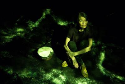 Don’t Miss ‘Inner Elder’ Onstage at the Firehall Arts Centre