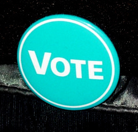 Charting the Votes: Canada's Federal Election '08