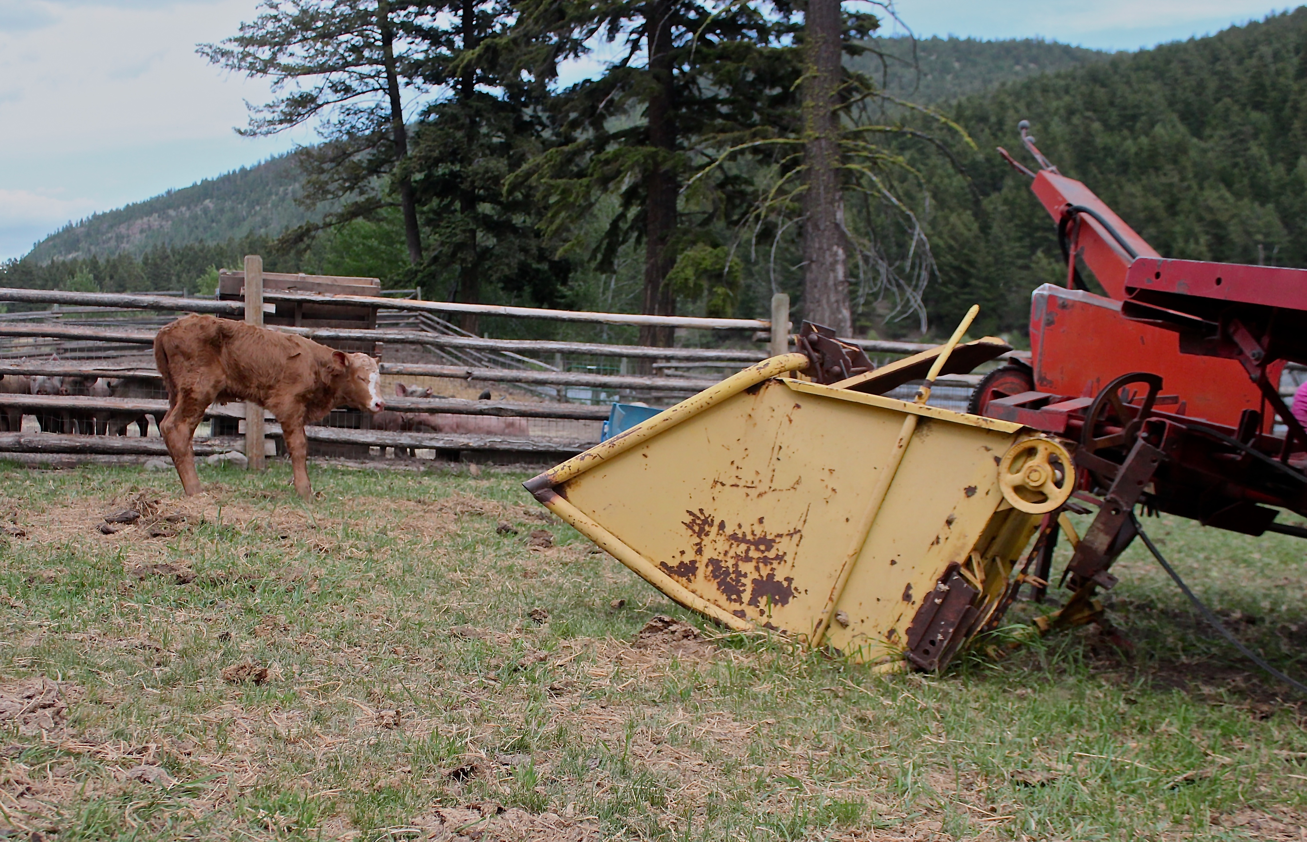 &lsquo;You Live, You Breathe the Farm&rsquo;
