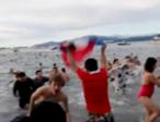 Polar-Bear-Swim.jpg