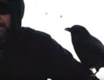 Canuck-Crow.jpg