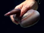 Hagfish-Fist-Slime.png