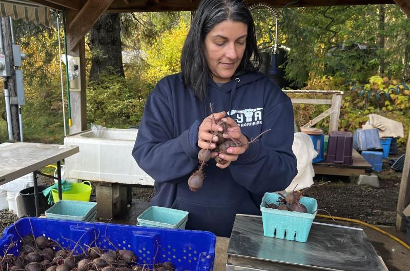 How to Build a Local Farming Food Hub