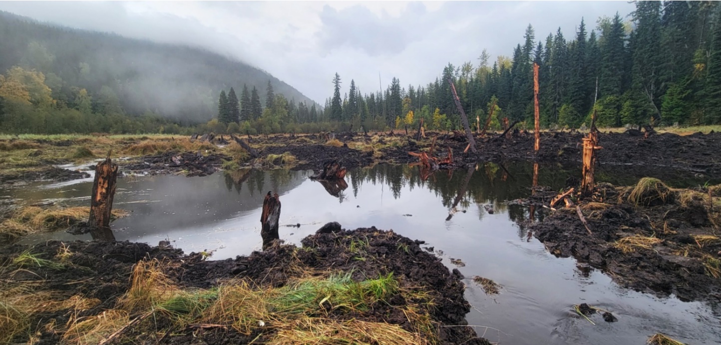 A misty, marshy landscape that includes freshly upturned earth, pond-like stands of water and trees. In the background rises a mountain.