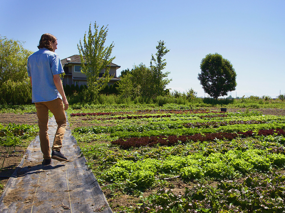 A rural setting with a large garden in the foreground and some trees behind. A man with shoulder-length hair and a blue shirt walks between the garden rows.