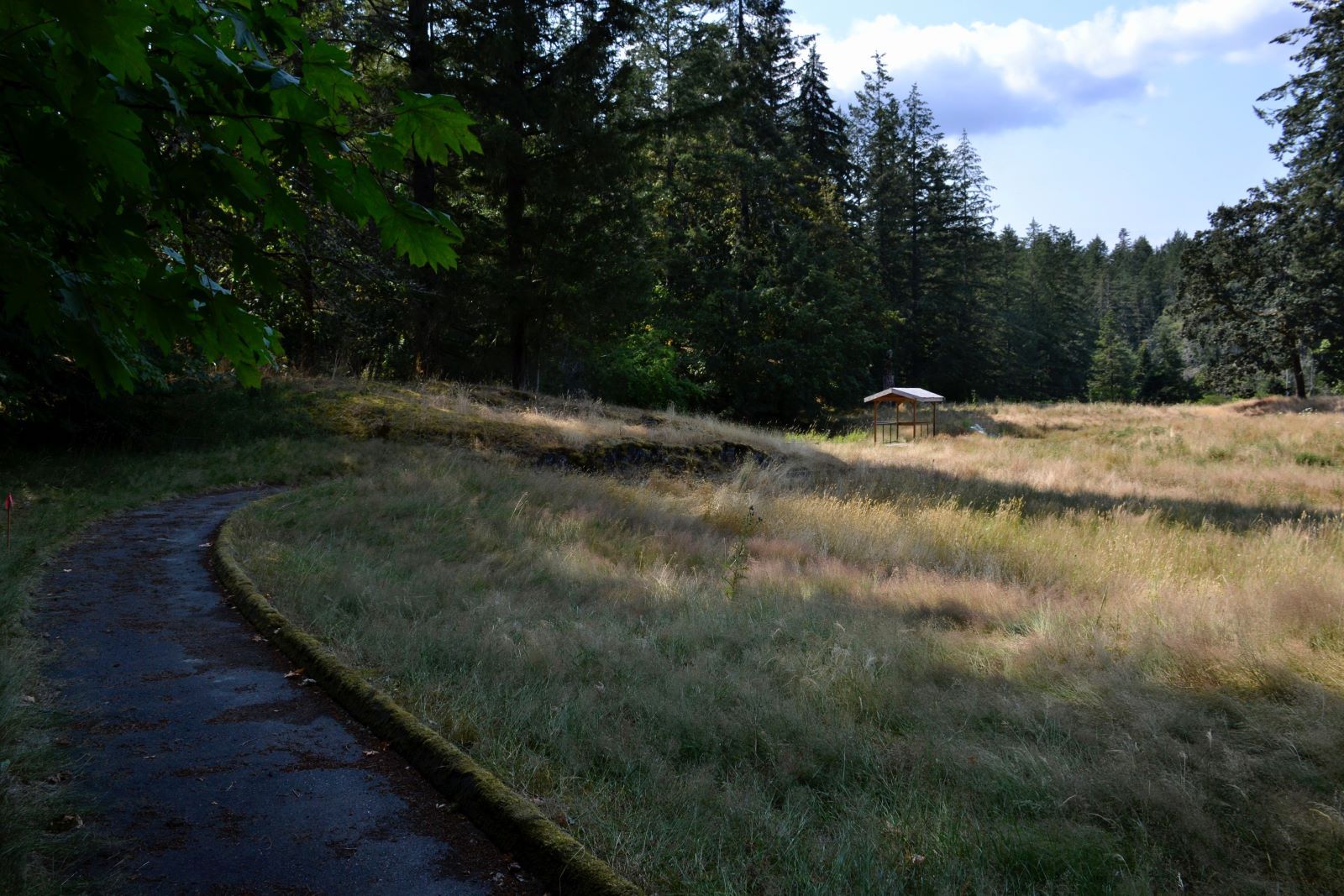 A narrow, paved trail winds next to a grassy meadow with a small structure in the distance.
