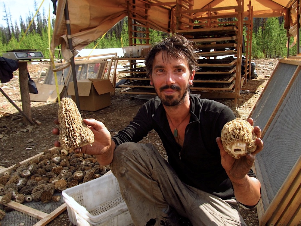 A bearded young man sits in an encampment in the woods holding in each hand a large, honey-combed, brown morel mushroom.