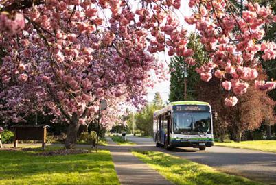 The Cities Where Riding the Bus Is Free