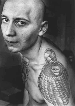 skullfe
