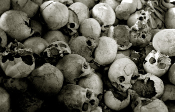skulls