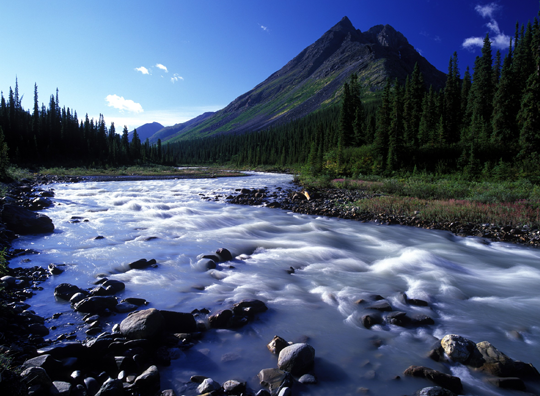 rockies5
