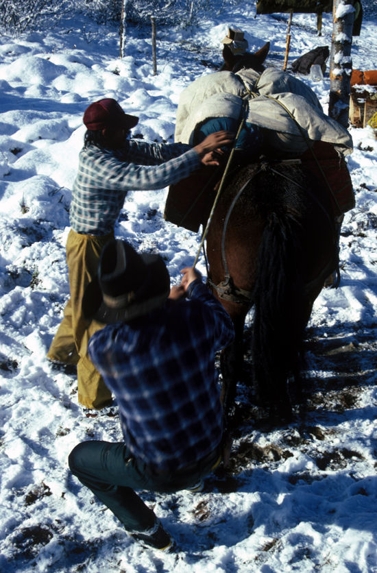 rockies13