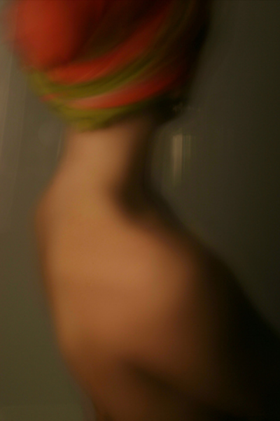willa8