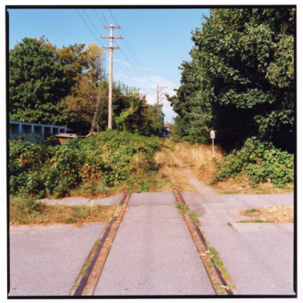 Arbutus3