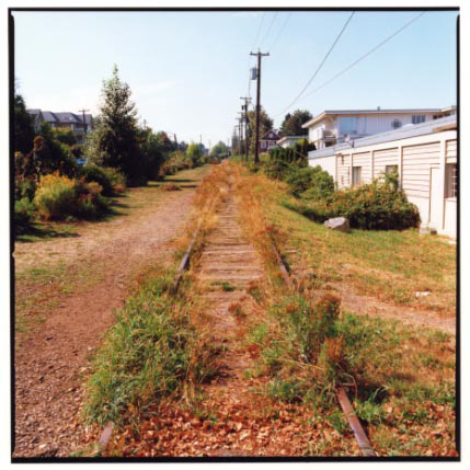 Arbutus4