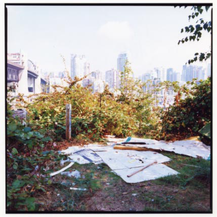 Arbutus6