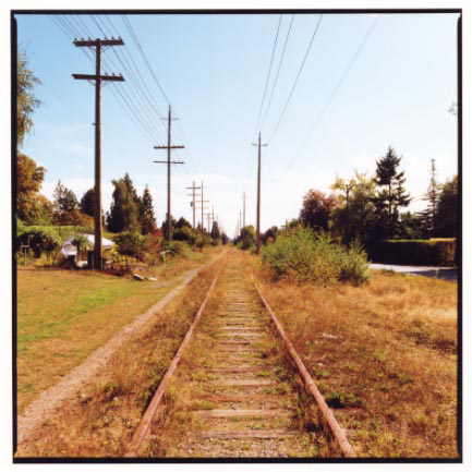 Arbutus8