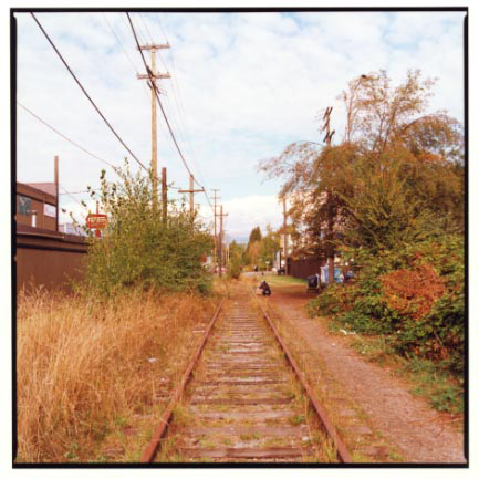 Arbutus9