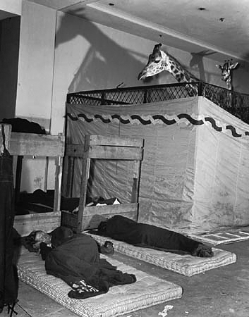 Weegee #6