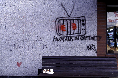 Humans in captivity.